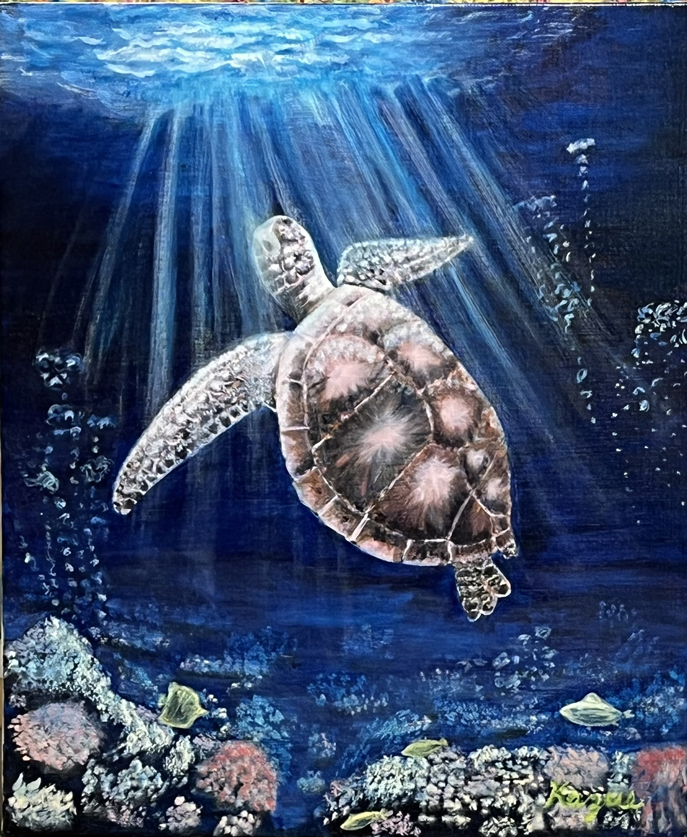 TURTLE
